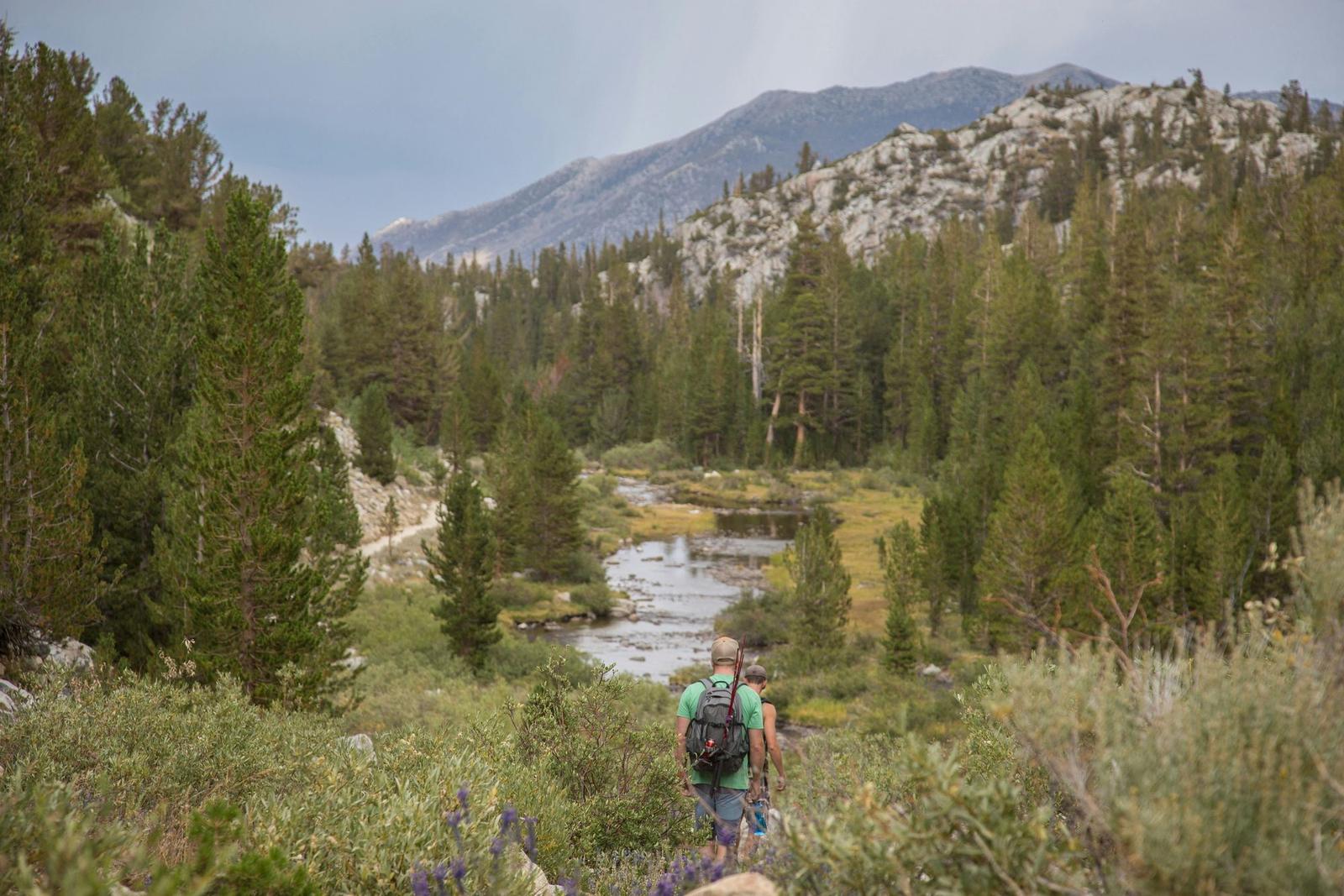 Two hikers walking a meadow trail beside a creek